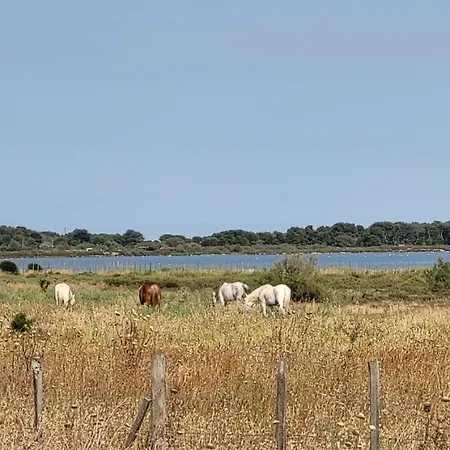 דירה Marie Galante La Au Bout Du Chemin !