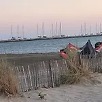 Apartmán Marie Galante La Au Bout Du Chemin !
